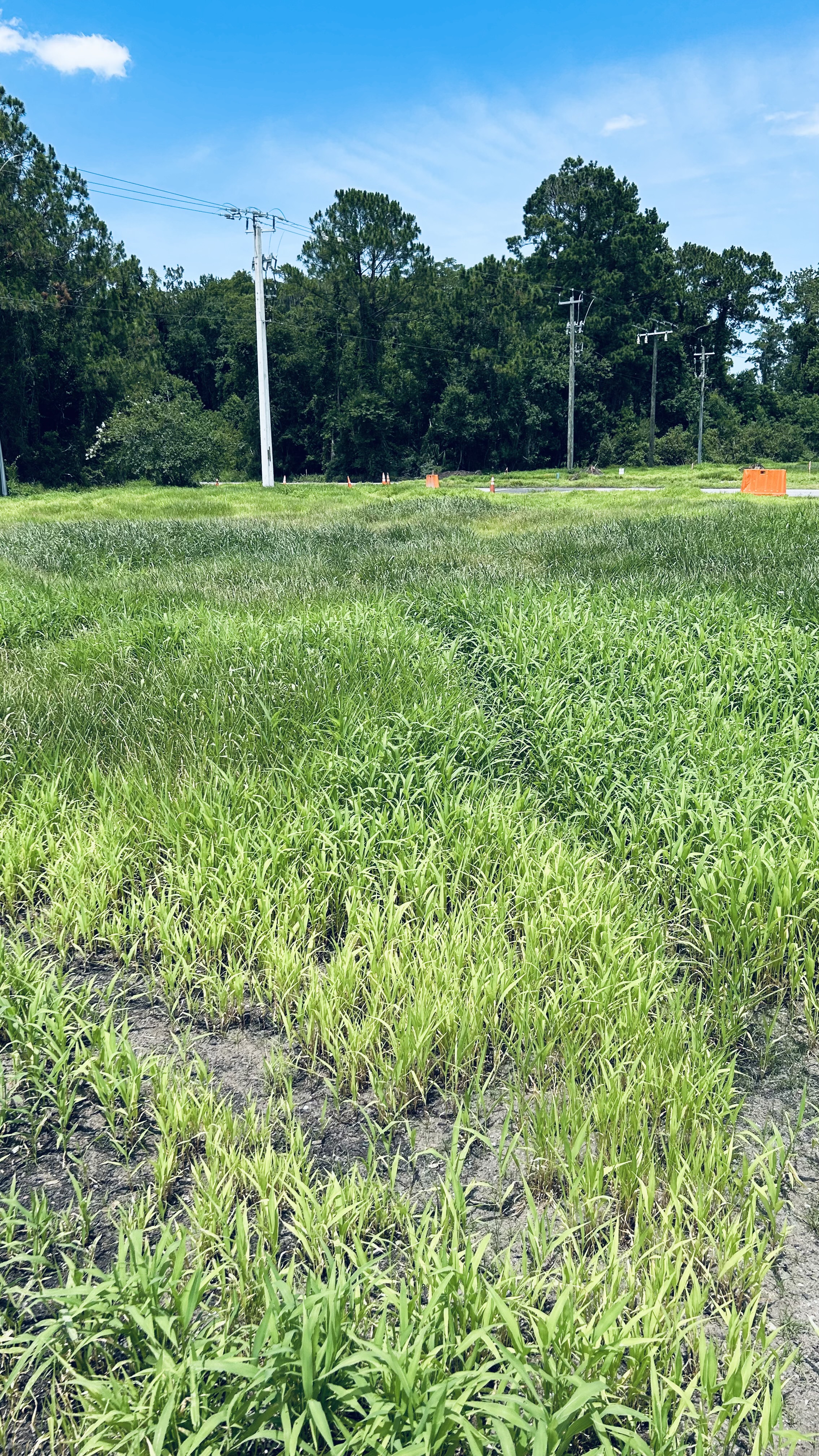 Terra Seeding Project 3