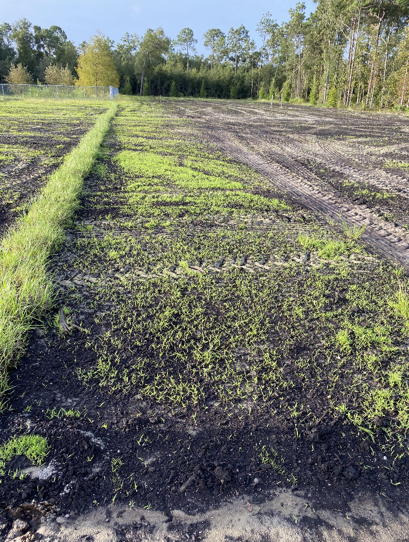 Terra Seeding Project 2