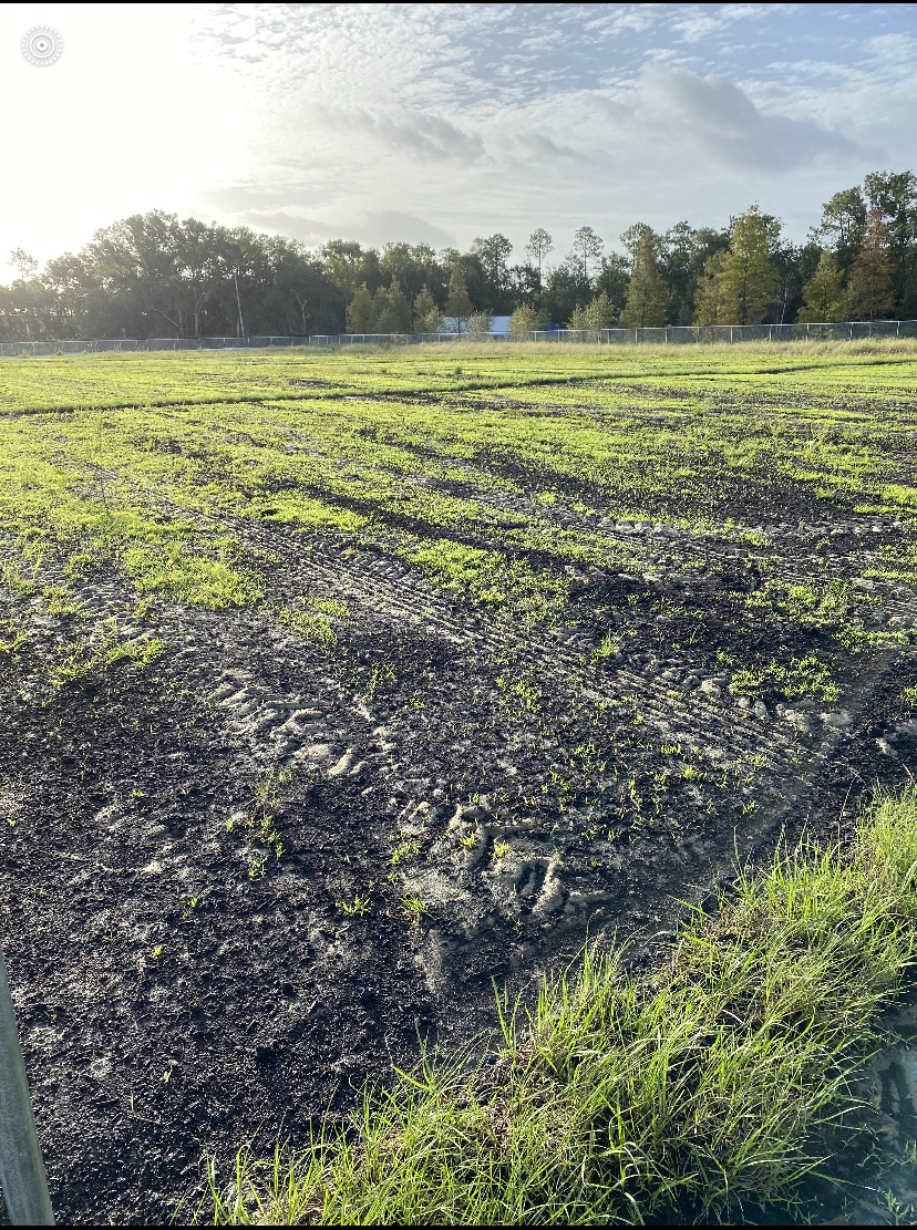 Terra Seeding Project 1